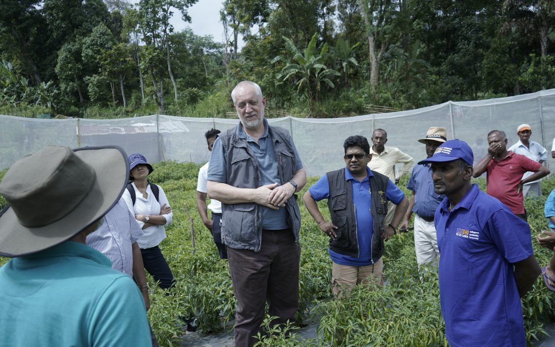 EU Misssion – Chilli Cluster in Atabage | European Union team visited ASMP chilli cluster in Atabage, Kandy District